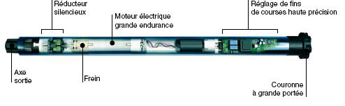 Moteur